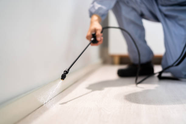 Licensed Pest Control service in Monte Vista, CO - Show Me Pest Control