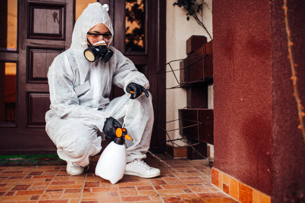 Attic and Crawl Space Rodent Treatment in Monte Vista